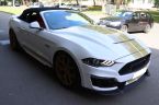 Ford Mustang - fotka číslo 22