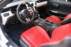 Ford Mustang - fotka číslo 27