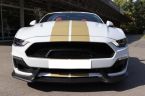 Ford Mustang - fotka číslo 2