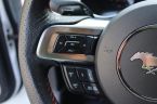 Ford Mustang - fotka číslo 31
