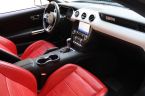 Ford Mustang - fotka číslo 45