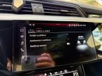 Audi Q8 e-tron - fotka číslo 53