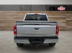 Ford F Series - fotka číslo 3