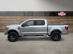 Ford F Series - fotka číslo 5