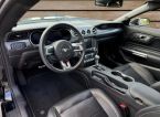 Ford Mustang - fotka číslo 14