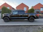 Ford F Series - fotka číslo 6
