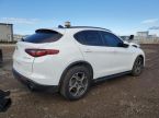Alfa Romeo Stelvio - fotka číslo 2
