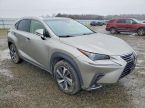 Lexus NX 300h - fotka číslo 1