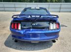 Ford Mustang - fotka číslo 5