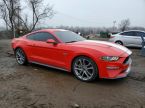 Ford Mustang - fotka číslo 1