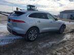 Jaguar F-Pace - fotka číslo 3