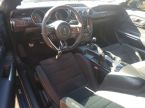 Ford Mustang - fotka číslo 7