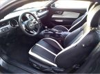 Ford Mustang - fotka číslo 23