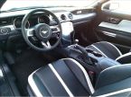 Ford Mustang - fotka číslo 34