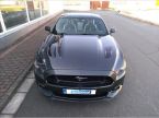 Ford Mustang - fotka číslo 9