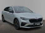 Škoda Scala - fotka číslo 2