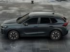 Cupra Terramar - fotka číslo 5