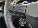 Cupra Terramar - fotka číslo 22