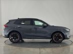 Cupra Terramar - fotka číslo 15