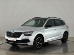 Škoda Kamiq - fotka číslo 0