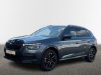 Škoda Kamiq - fotka číslo 0