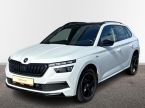 Škoda Kamiq - fotka číslo 0
