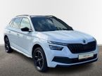 Škoda Kamiq - fotka číslo 13