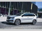 Škoda Karoq - fotka číslo 17