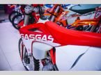 GASGAS EC 250 F - fotka číslo 5