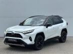 Toyota RAV 4 - fotka číslo 0