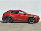 Lexus UX 250h - fotka číslo 7