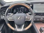 Lexus RX 350h - fotka číslo 13