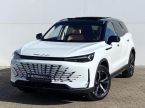 BAIC X7 - fotka číslo 0