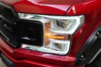 Ford F Series - fotka číslo 8