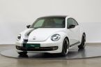 Volkswagen Beetle - fotka číslo 0