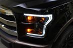 Ford F Series - fotka číslo 8