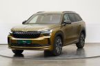 Škoda Kodiaq - fotka číslo 0