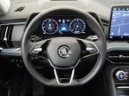 Škoda Kodiaq - fotka číslo 18