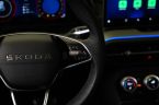 Škoda Kodiaq - fotka číslo 15