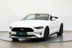 Ford Mustang - fotka číslo 0