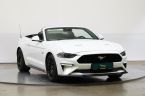 Ford Mustang - fotka číslo 7
