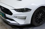 Ford Mustang - fotka číslo 8