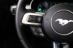 Ford Mustang - fotka číslo 14