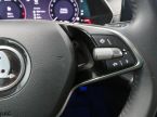 Škoda Octavia - fotka číslo 16