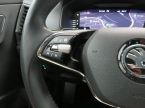 Škoda Karoq - fotka číslo 16