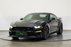Ford Mustang - fotka číslo 0