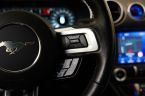 Ford Mustang - fotka číslo 16