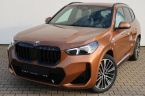 BMW X1 - fotka číslo 0